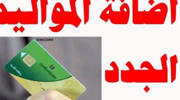 اعرف الشروط والضوابط .. إضافة المواليد على بطاقات التموين 2024 عبر بوابة مصر الرقمية