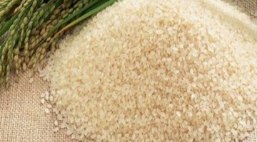 واقع بكام النهارده .. سعر طن الأرز الشعير اليوم الثلاثاء 18 يونيو في مصر للمستهلك
