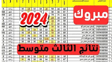 رابط استعلام نتائج الثالث متوسط 2024 الدور الأول كيف تحصل على نتيجتك بسهولة