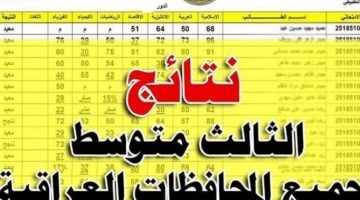 بالرقم الامتحاني .. نتائج الثالث المتوسط 2024 الدور الاول 2024 عبر موقع نتائجنا ووزارة التربية العراقية pedu.gov.iq