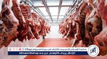 أسعار اللحوم اليوم الأحد 15-9-2024 في الأسواق ومحال الجزارة في المنيا