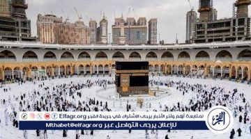 ضوابط وإجراءات تنظيم رحلات العمرة 1446هـ.. شروط جديدة وتحسينات لضمان أفضل الخدمات للمعتمرين