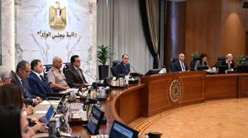 2200 جنيه سعرًا استرشاديًا لإردب القمح