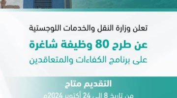 وزارة النقل تُعلن طرح 80 وظيفة شاغرة على برنامج الكفاءات والمتعاقدين