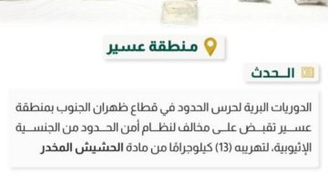 القبض على مخالف لنظام أمن الحدود لتهريبه (13) كيلوجرامًا من مادة الحشيش