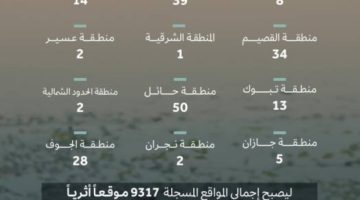 تسجيل 198 موقعًا جديدًا في السجل الوطني للآثار