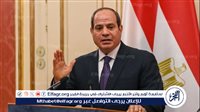 أستاذ علوم سياسية: لقاءات السيسي في الرياض شهدت توافقًا لرفض تصفية القضية الفلسطينية (فيديو)