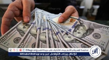 استقرار سعر الدولار أمام الجنيه المصري في بداية تعاملات اليوم: 15 نوفمبر 2024