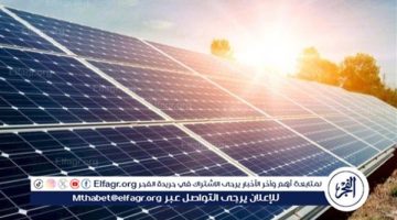 الإجراءات المطلوبة لإقامة محطات الطاقة الشمسية في مصر