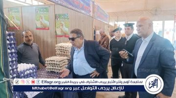 التأكيد على استمرار متابعة النظافة ورفع والاشغالات على مدار الساعة