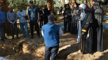تعاون بين المركز و”إيكاردا” لتنفيذ مشروع الزراعة الصحراوية
