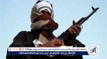 ضبط 5 من بينهم 2 مصابين بطلق ناري بمشاجرة بمركز دار السلام بسوهاج