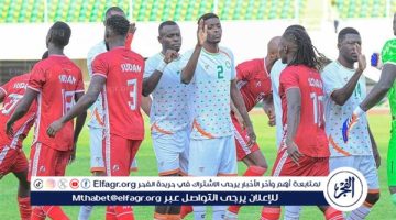 منتخب النيجر يقسو على السودان برباعية في تصفيات كأس الأمم الأفريقية