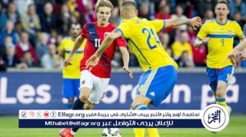 موعد مباراة السويد ضد سلوفاكيا في تصفيات كأس الأمم الأفريقية والقنوات الناقلة