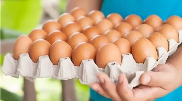 الكرتونه بكام .. موجه ارتفاع جديده تضرب أسعار البيض شوف وصل لكام النهاردة