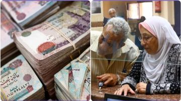 الحق بسرعة وطير على بنك الإسكندرية للحصول على ١١١٤٥ جنية عائد شهرى مع شهادة اكس برايم٤٢ الجديدة