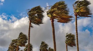 يسبب عذه ظواهر جوية .. منخفض جوي جديد يضرب البلاد خلال أيام