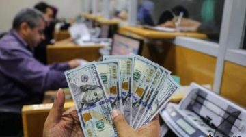 كيف تستثمر 50 ألف جنيه وتكسب «قدهم» شهريا؟ (تفاصيل)