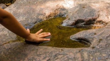العثور على 100 أثر لأقدام ديناصورات من العصر الجوراسي في تونس