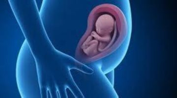 استبيان.. 80 % يفضِّلنَ تذكيرهنَّ بمواعيد «الحمل» عبر الرسائل