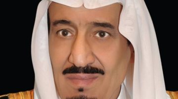العرض الدولي لجمال الخيل العربية الأصيلة ينطلق في الـ 11 من ديسمبر