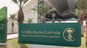 “البيئة”: ملتقى “ريف السعودية” ينطلق في 16 ديسمبر الجاري بالأحساء