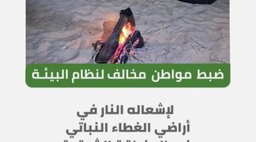 “الأمن البيئي” يضبط مخالفين لنظام البيئة