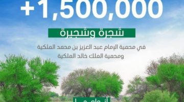 محمية الإمام عبدالعزيز بن محمد الملكية تحتفي بزراعة 1.5 مليون شجرة