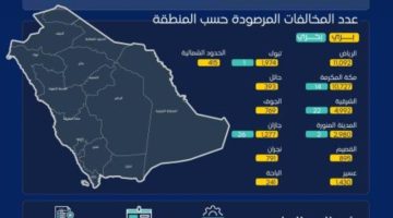 “هيئة النقل” تنفذ 300 ألف عملية فحص على خدمات النقل البري والبحري والسككي