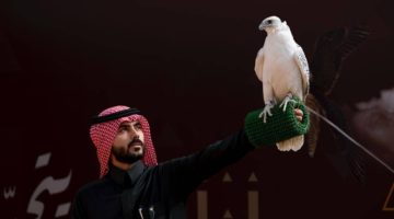 المحترفون المحليون يتنافسون في 6 أشواط في ثاني أيام مهرجان الملك عبدالعزيز للصقور 2024