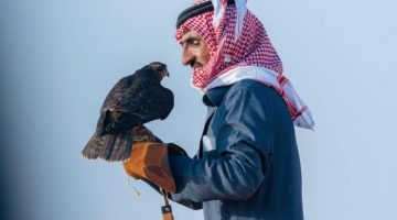 المُلاك المحليون يتنافسون بـ 346 صقرًا في اليوم الثالث لمهرجان الملك عبدالعزيز للصقور 2024
