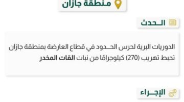 حرس الحدود بجازان يحبط تهريب (270) كيلوجرامًا من القات المخدر
