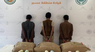 القبض على (3) مخالفين لتهريبهم (75) كجم من القات بـ”الربوعة”