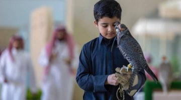 “مهرجان الصقور”: (269) صقرًا للهواة المحليين يتنافسون في اليوم الـ(6)