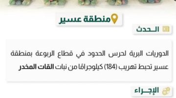 حرس الحدود بعسير يحبط تهريب 184 كيلوجرامًا من القات المخدر