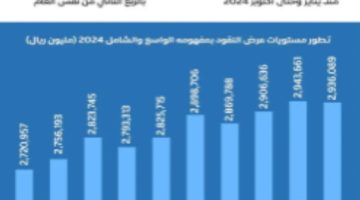 السيولة في الاقتصاد السعودي تنمو خلال عام بأكثر من 247 مليار ريال