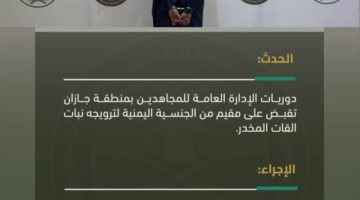 “دوريات المجاهدين” بمنطقة جازان تقبض على مقيم لترويجه نبات القات المخدر