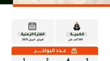 “الأمن الغذائي” تطرح مناقصة لاستيراد (595) ألف طن قمح