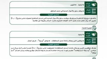 هيئة الرقابة ومكافحة الفساد تباشر عددًا من القضايا الجنائية