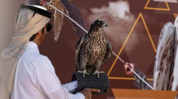 ختام منافسات المُلاك الدوليين في اليوم العاشر لمهرجان الملك عبدالعزيز للصقور 2024