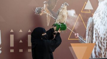 الصقارات السعوديات يكتسبن الخبرة ويتنافسن على جوائز مهرجان الملك عبدالعزيز للصقور 2024