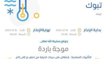 “الأرصاد”: موجة باردة وتكون الصقيع على منطقة تبوك