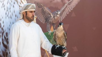 “مهرجان الصقور”: المحترفون الدوليون يتنافسون على (12) كأسًا في اليوم الـ(12)