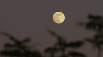 “القمر البارد” يزيّن سماء رفحاء