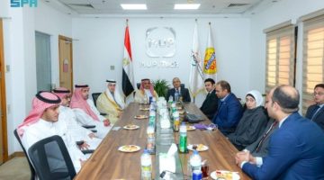 نائب وزير الصناعة يبحث الفرص المشتركة في صناعة الأغذية والأدوية مع شركات مصرية