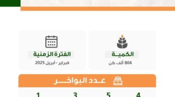 “هيئة الأمن الغذائي” ترسي الدفعة السادسة من القمح المستورد لعام 2024