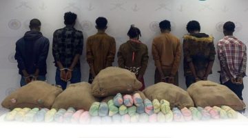 حرس الحدود بعسير يقبض على 7 مخالفين لنظام أمن الحدود لتهريبهم 154 كجم من نبات القات المخدر