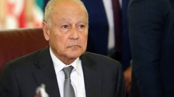 أبو الغيط يلتقي وفد مجلس الشيوخ الفرنسي