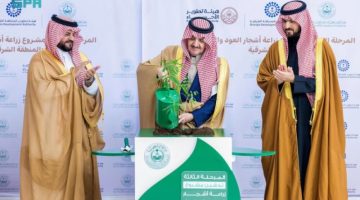 الأمير سعود بن نايف يغرس أول شتلة “صندل” بالمنطقة الشرقية