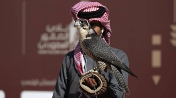اختتام منافسات الكؤوس بأشواط الهواة المحليين في اليوم الـ 16 لمهرجان الملك عبدالعزيز للصقور 2024